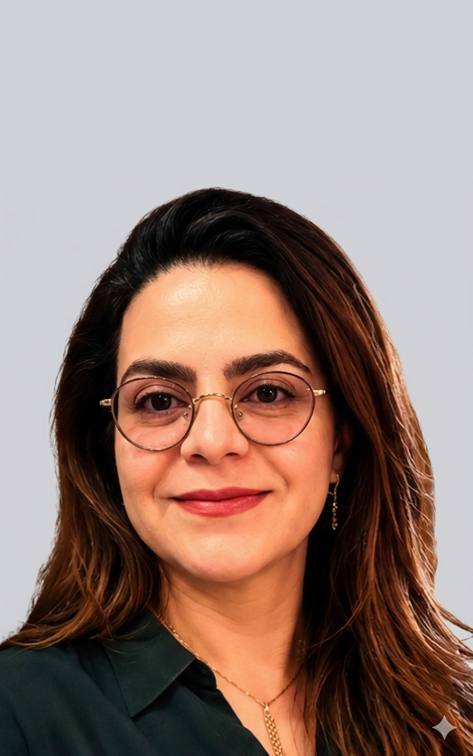 Fatemeh N. Nokabadi
